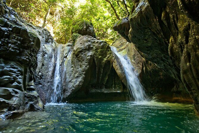 Shore Excursion | Monkey encounter & Damajagua Waterfalls - Monkey Encounter at Puerto Plata: Friendly Faces and Botanical Gardens