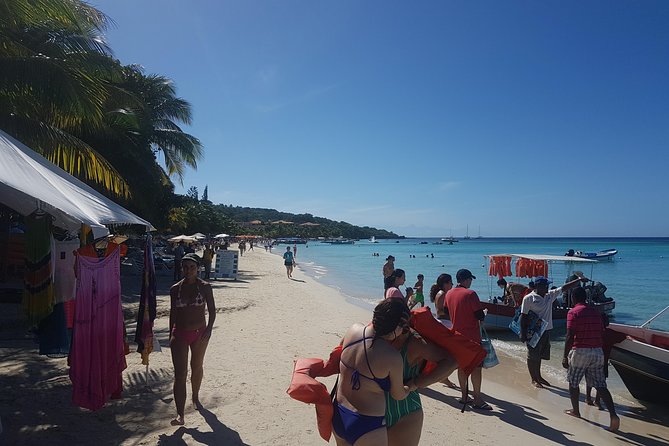 Shore Excursion: Monkey/Sloth Hang-out and Snorkel - Key Points