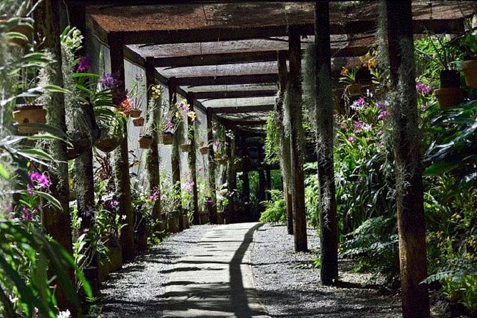 Shore Excursion-Nadi Mudpools,Sleeping Giants Gardens,Markets, Temple & Shopping - Tour Recommendations
