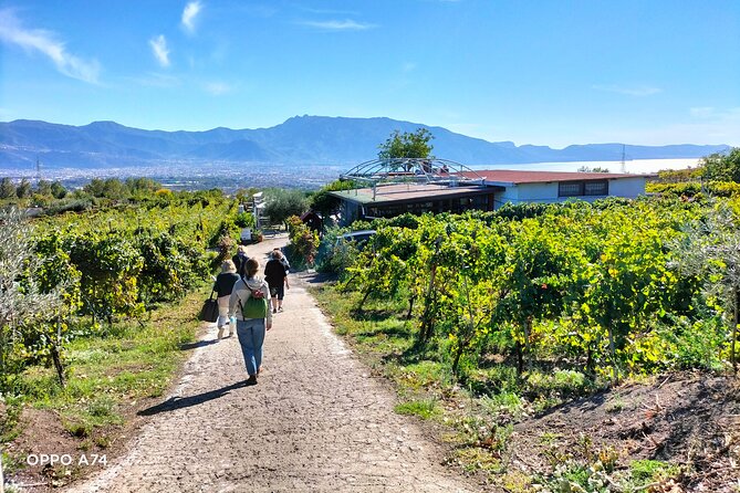 Shore Excursion Naples City Tour, Pompeii & Winery Cantina Del Vesuvio - Winery Experience