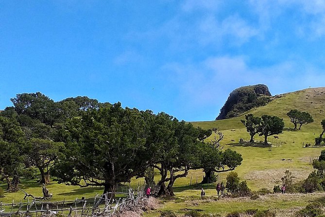 Shore Excursion - Northwest Terraces and Volcanic Pools 4x4 Tour - Getting the Most Out of Your Experience
