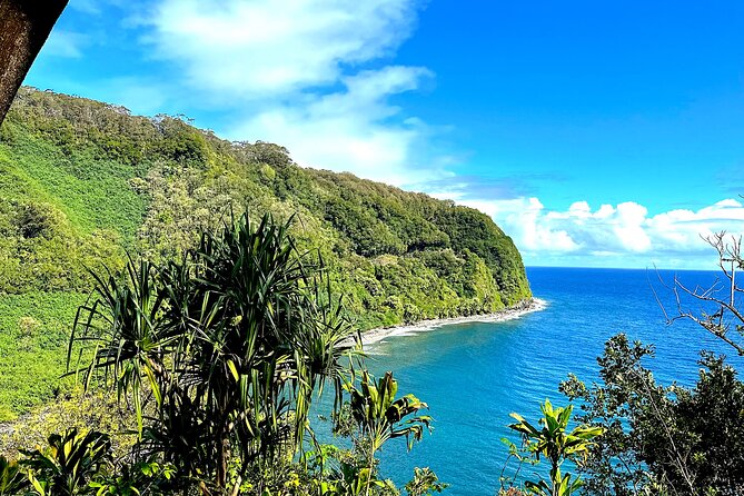 Shore Excursion of Maui - Tour Features