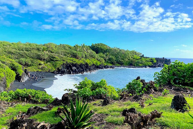 Shore Excursion of Maui - Reviews and Feedback
