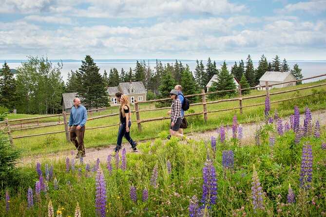 Shore Excursion of the Highland Village Museum in Cape Breton - Cultural Immersion