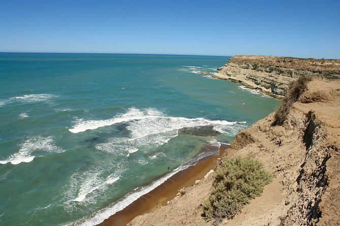 Shore Excursion Peninsula Valdes or Punta Tombo - Private Car - Accessibility