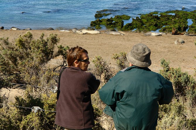 Shore Excursion Peninsula Valdes With Box Lunch &Entry Fee Madryn - Key Points