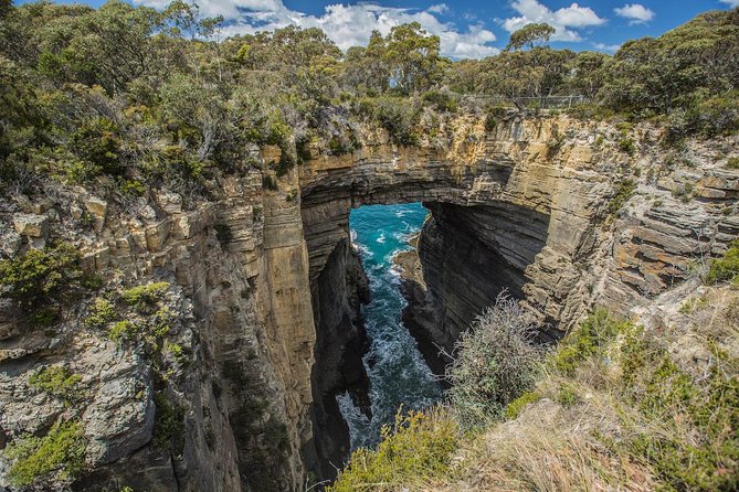 Shore Excursion - Port Arthur - Tasman Peninsula - Meeting and Pickup
