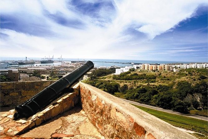 Shore Excursion: Port Elizabeth Walking City Tour - Cancellation Policy