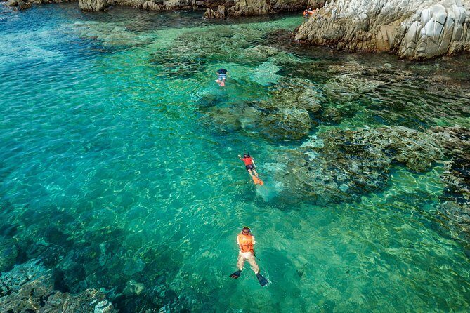 Shore Excursion Premium Family Snorkeling Experience - Who Will Love This Tour?
