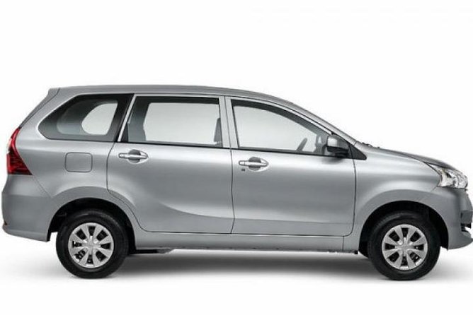 Shore Excursion: Private Bali Car Rental Service - Additional Service Information