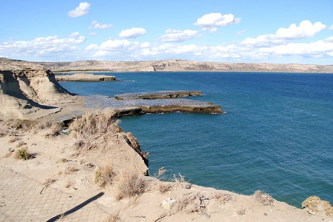 Shore Excursion: Private Day Trip to Peninsula Valdes From Puerto Madryn - Booking Information