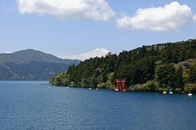 Shore Excursion Private Mt Fuji and Hakone Tour from Shimizu Port - Practical Considerations