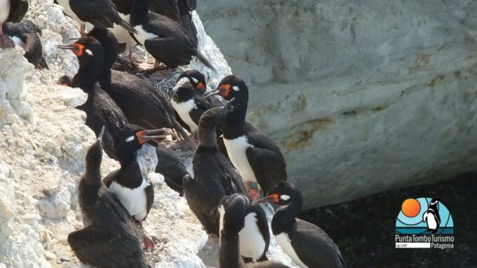 Shore Excursion: Punta Loma+City Tour, for Cruise Passengers - Frequently Asked Questions