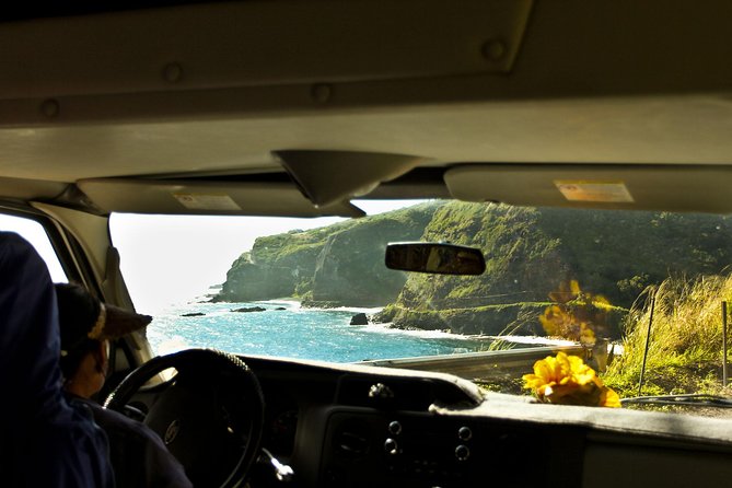 Shore Excursion: Road To Hāna Tour for Pride Of America Passengers - Meals and Dietary Options