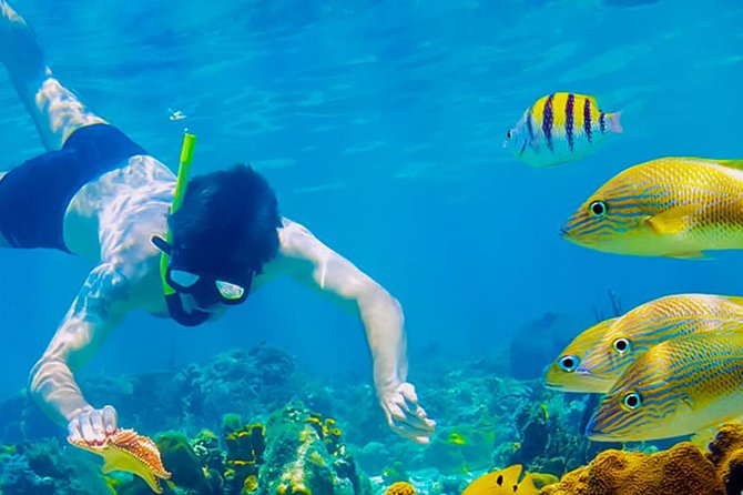 Shore Excursion: Roatan Horseback Ride and West Bay Beach Break - Inclusions and Amenities