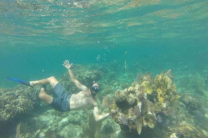 Shore Excursion: Roatan on the Wild-side and Snorkel - Tour Inclusions