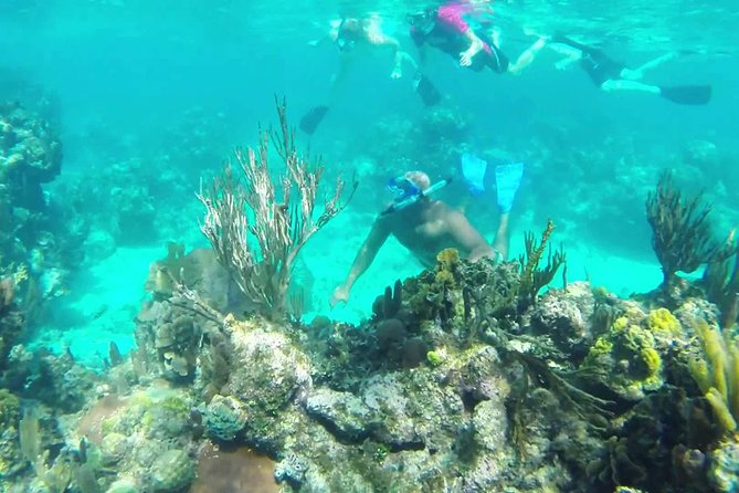 Shore Excursion: Roatan Shipwreck Snorkel Adventure - Key Points
