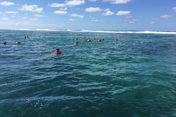Shore Excursion: Roatan Shipwreck Snorkel Adventure - Group Size and Suitability