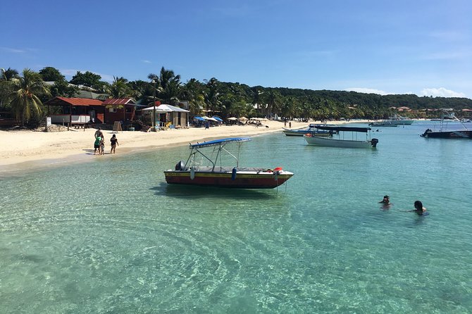 Shore Excursion: Roatan Super Man Zip Line Adventure - Key Points