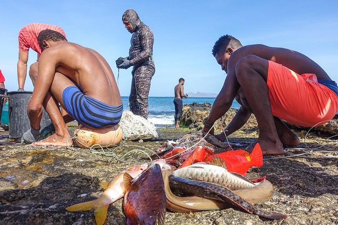 Shore Excursion São Vicente, Mindelo 4h or 6h - Reviews and Feedback