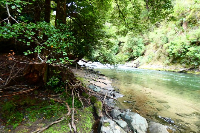Shore Excursion: Scenic Rafting From Napier - Group Size and Cancellation Policy