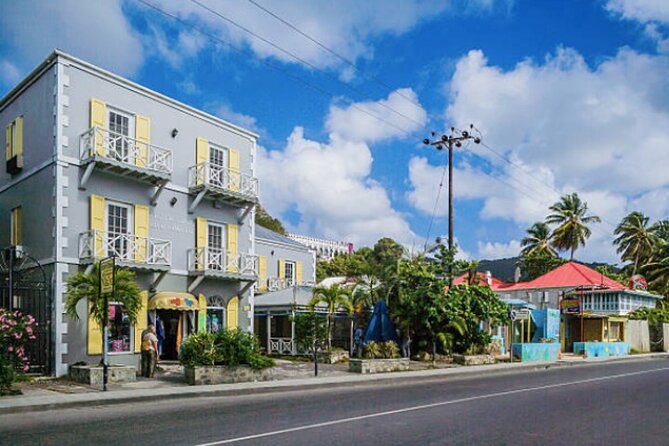 Shore Excursion: The Tortola Unique Treasures Tour - Traveler Experiences and Feedback