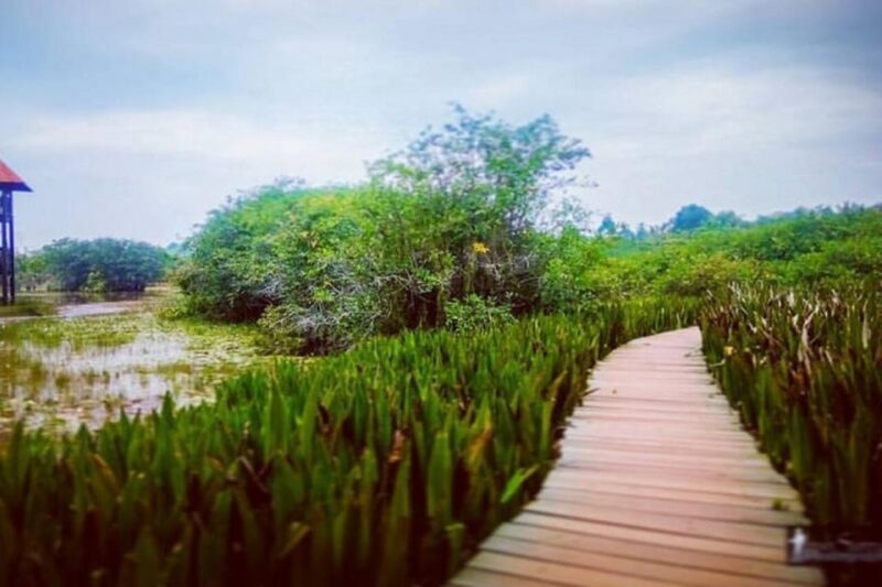 Shore Excursion to Colombo Wetland & Bird Watching by Car - Key Points