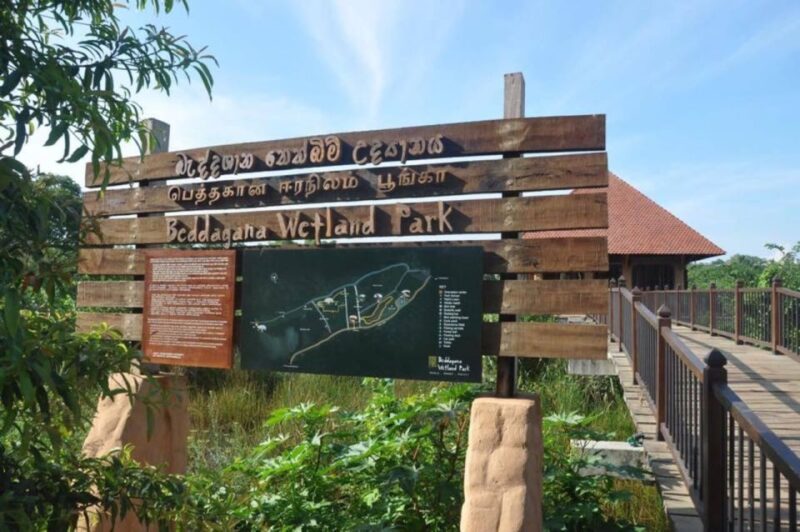 Shore Excursion to Colombo Wetland & Bird Watching by Car - Itinerary Highlights