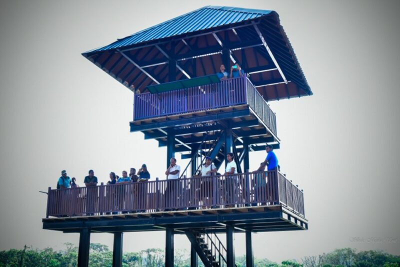 Shore Excursion to Colombo Wetland & Bird Watching by Car - Participant Restrictions
