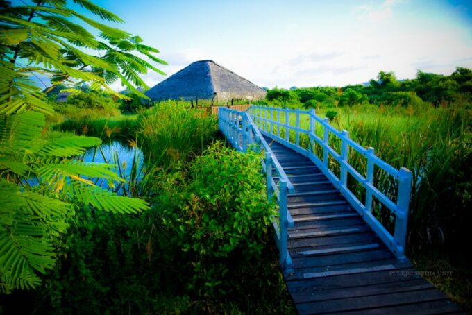Shore Excursion to Colombo Wetland & Bird Watching by Car - Frequently Asked Questions