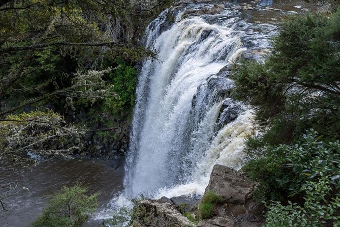 Shore Excursion To Historic Kerikeri Including Lunch - Tour Duration and Frequency