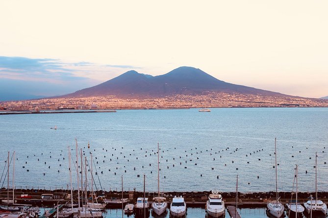 Shore Excursion Tour for Kids From Naples Port to Pompeii and Vesuvius - Inclusions