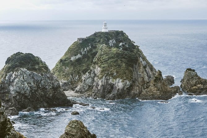 Shore Excursion Tour From Kagoshima Port - Experience the Scenic Landscapes