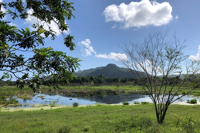 Shore Excursion: V.I.P. DayPass: ATV, Zip Lines, Horseback Riding & Lunch - Age and Fitness Requirements
