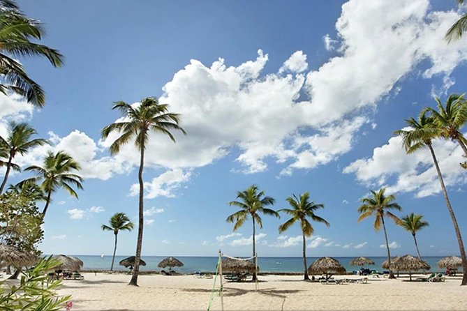 Shore Excursion: Viva Wyndham Resort For The Day With Unlimited Food & Drinks - Included Amenities and Activities