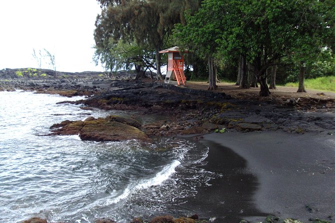 Shore Excursion: Volcano Adventure Tour From Hilo - Pickup and Start Time