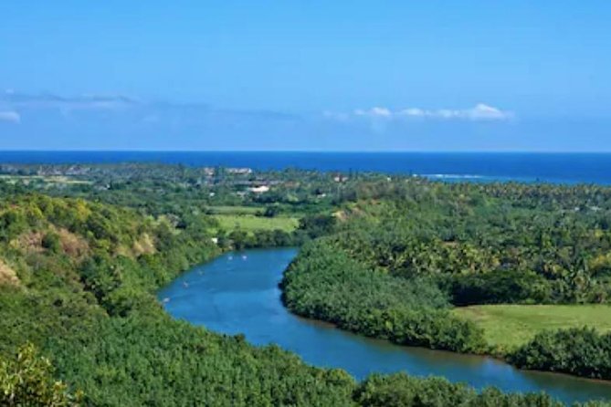 Shore Excursion: Wailua River and Luau Cruise With Polynesian Dinner and Drinks - Navigating the Booking Process