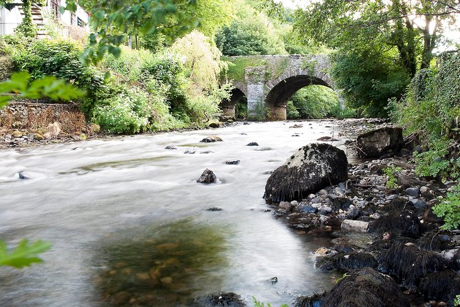 Shore Excursion: Wicklow Mountains, Avoca & Glendalough Rail Tour - Booking and Confirmation