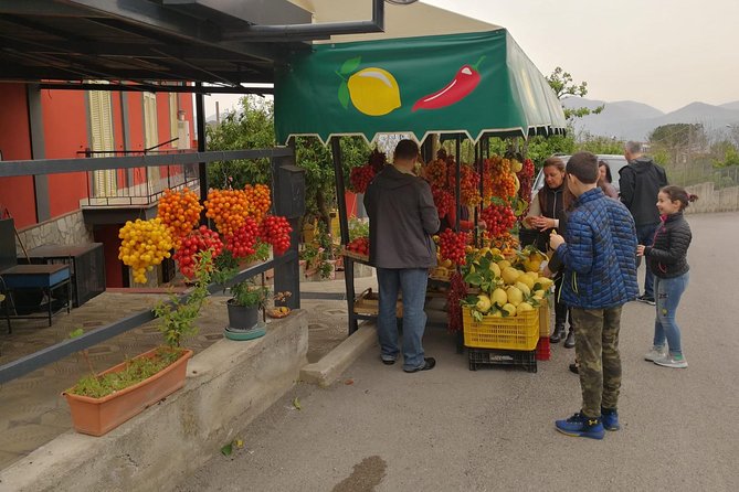 Shore Excursion With Wine & Food Tasting at Cantina Del Vesuvio Winery - Customer Reviews and Ratings