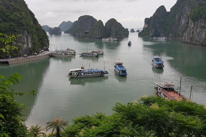 Shore Excursion: Wonderful Ha Long Bay Day Cruise - Accessibility Considerations