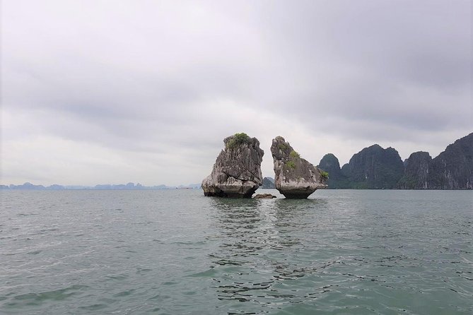 Shore Excursion: Wonderful Ha Long Bay Day Cruise - Eco-Friendly Efforts