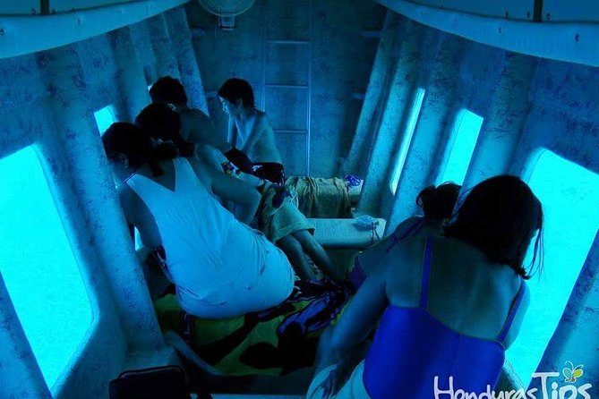 Shore Excursion: Zip Line Adventure and Glass Bottom Boat - Key Points