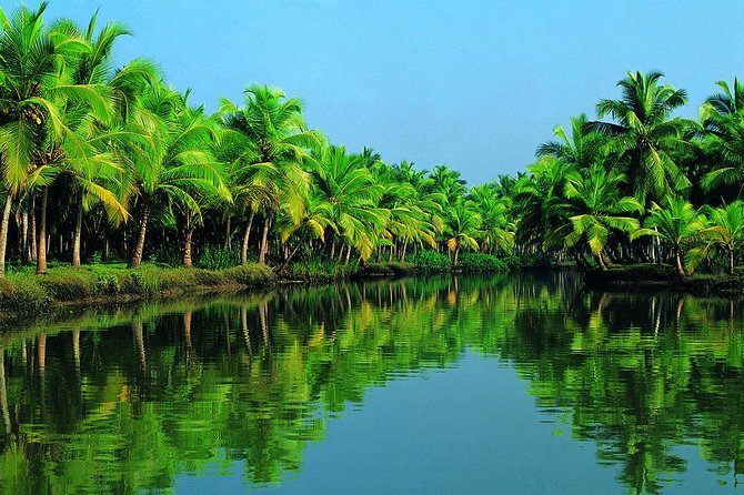 Shore Excursions From Cochin Cruise Terminal - Pickup Information