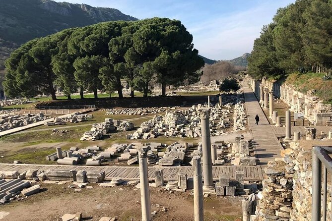 SHORE EXCURSIONS: Private Ephesus & Terrace Houses & Virgin Mary Tour - Expectations and Recommendations
