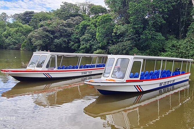 Shore Excursions to Butterfly Garden and Tortuguero Canals - Key Points