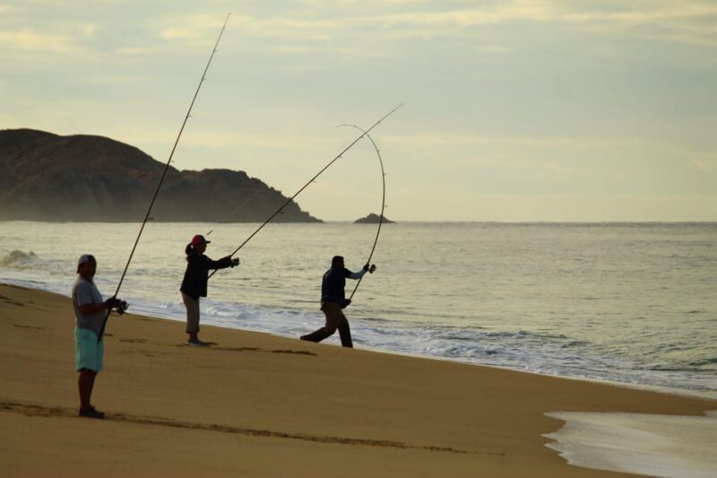 Shore Fishing at Los Cabos - Catch and Release Recommendations