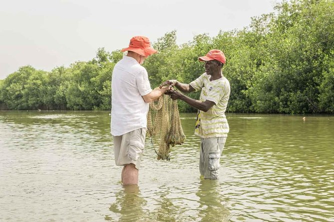 Shore Mangrove Tour + Lunch + Horse Riding + Fishing Classes - Key Points