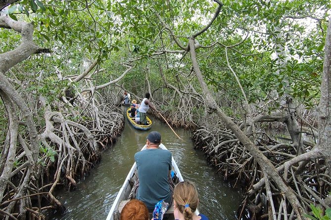 Shore Mangrove Tour + Lunch + Horse Riding + Fishing Classes - Inclusion Details