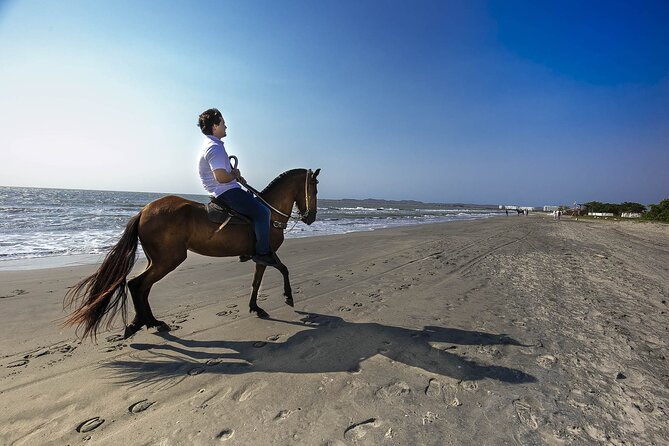 Shore Mangrove Tour + Lunch + Horse Riding + Fishing Classes - Meeting and Pickup