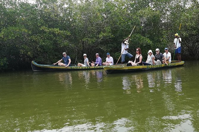 Shore Mangrove Tour + Lunch + Horse Riding + Fishing Classes - Accessibility Information